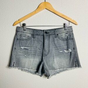 Vervet Anthropology Distressed Shorts Size 28